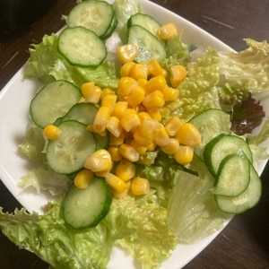 シャキッと葉物野菜！ちぎって簡単レタスサラダ！